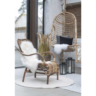 House Nordic Sorghum Grass
