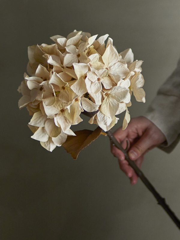 Bloomingville - Hydrangea Stilk, Hvid, Kunstige Blomster